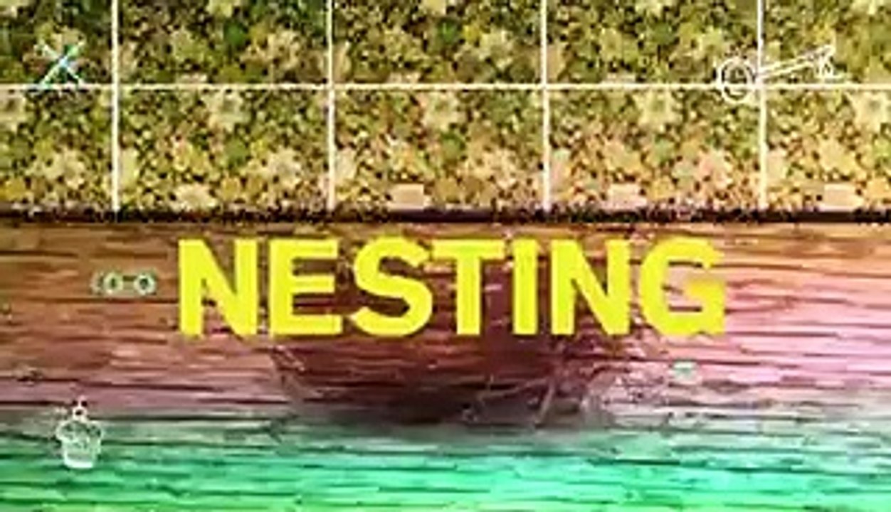 NESTING: IN BED WITH DAKOTA JOHNSON