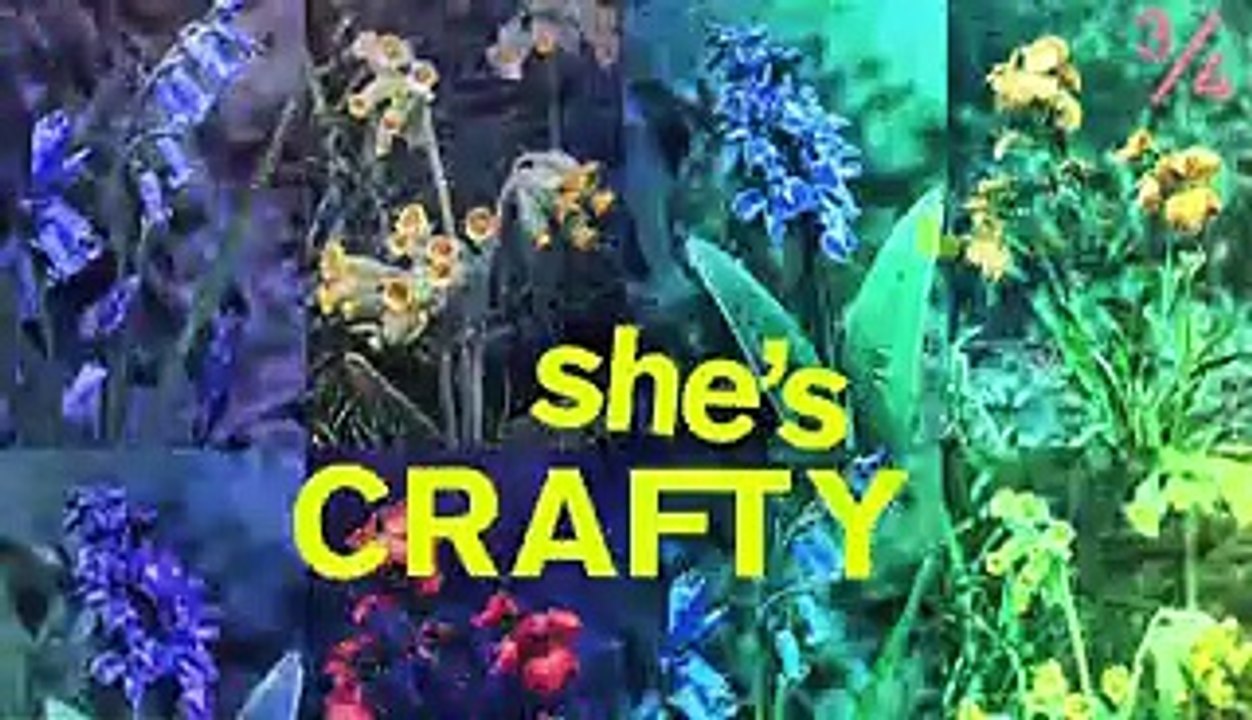 SHE'S CRAFTY: SKULL TIGHTS