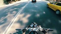 Motorcyclist Rescues Kitten From Middle of Road