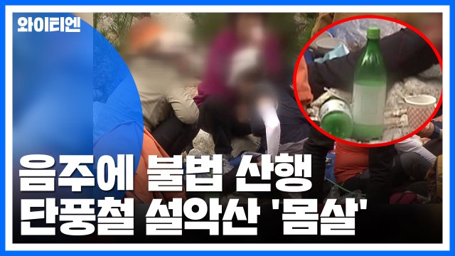 [Y가 간다] 음주에 불법 산행...단풍철 설악산 '몸살' / YTN