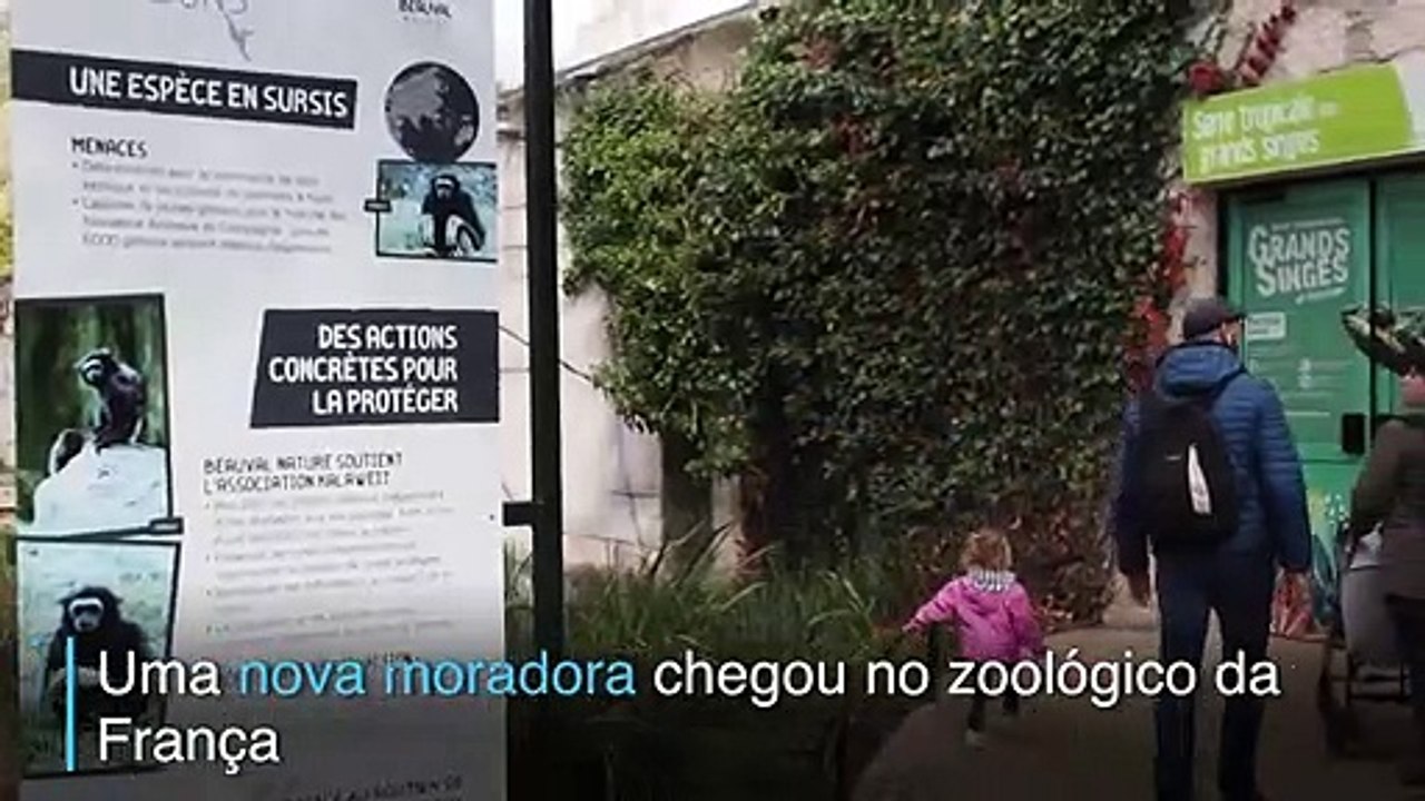 Nova moradora primata
