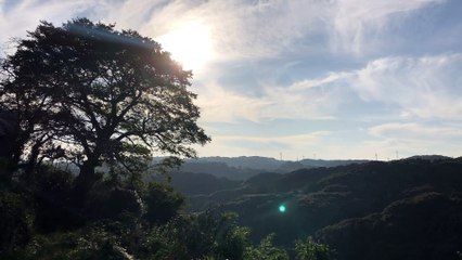 [癒し動画]日本の田舎の風景 japan