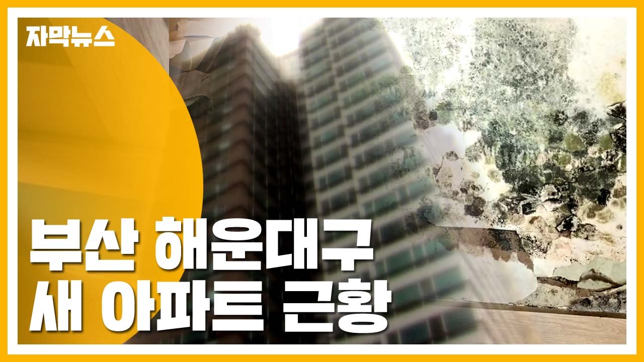 [자막뉴스] 빗물 '줄줄' 곰팡이까지...황당한 새 아파트 / YTN