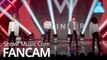 [예능연구소 직캠] WINNER - MOLA, 위너 -몰라도 너무 몰라 @Show! Music Core 20190518