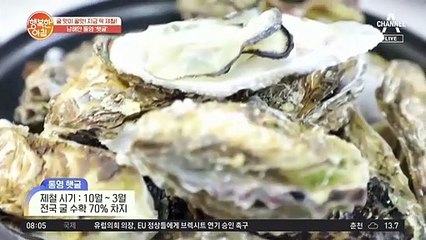 남해안 통영 '햇굴' 지금이 바로 제철! 생굴 맛있게 먹는 방법은?
