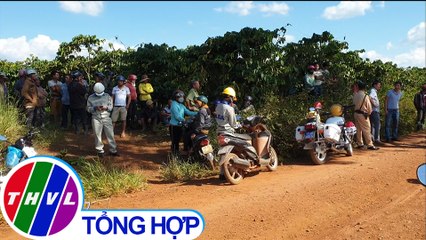 Hỗn chiến trong vườn cà phê tại Lâm Đồng, 4 người thương vong