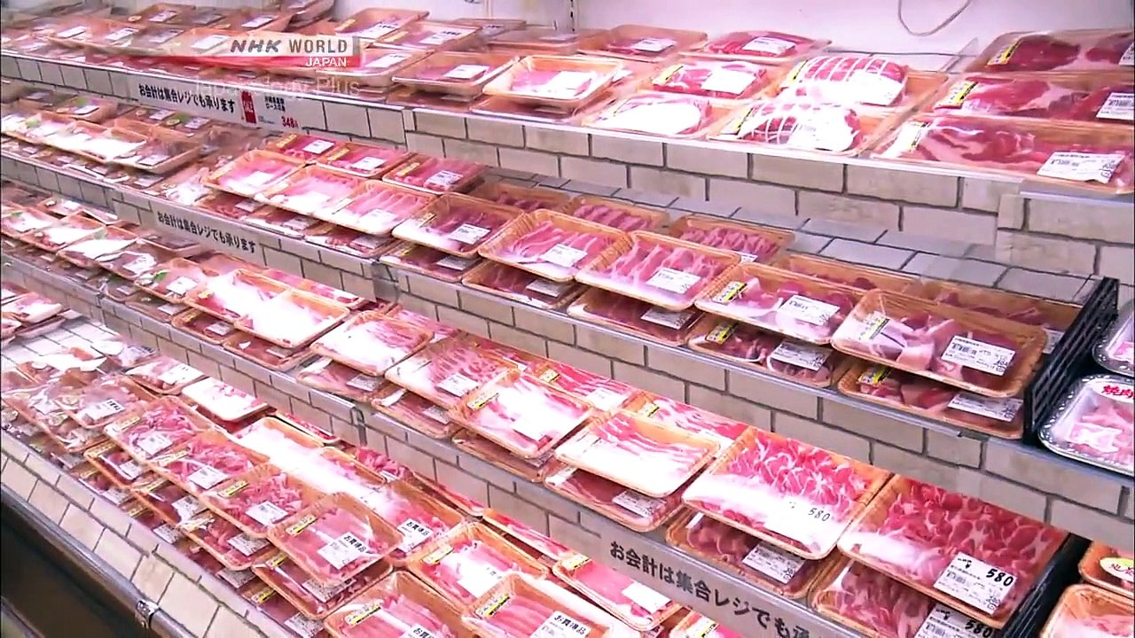 Japanology Plus - Meat