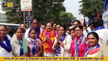 ਫਗਵਾੜਾ ਤੋਂ ਕੌਣ ਜਿੱਤੇਗਾ Congress Vs BJP Vs AAP Vs LIP Vs BSP