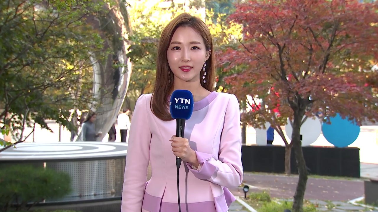 [날씨] '상강' 구름 많고 선선...영동·영남 가을비 / YTN