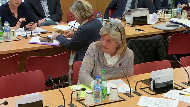 Commission des lois : Mme Jacqueline Gourault, ministre de la cohésion des territoires, et M. Sébastien Lecornu, ministre auprès de la ministre de la cohésion des territoires - Mercredi 23 octobre 2019