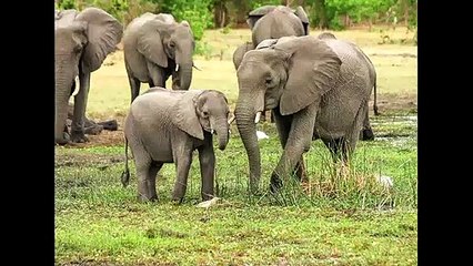 Kryon 2019 Memory bank