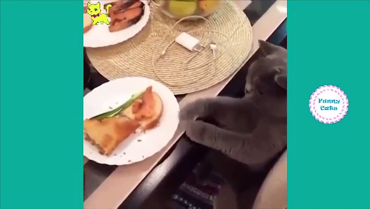 万博搞怪萌宠45