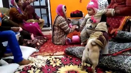 Family funny moments