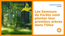 Les Semeurs de Forêts vont planter leur premiers arbres dans l’Oise