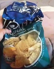 La réaction de ce chien quand il entend le bruit des chips : mythique