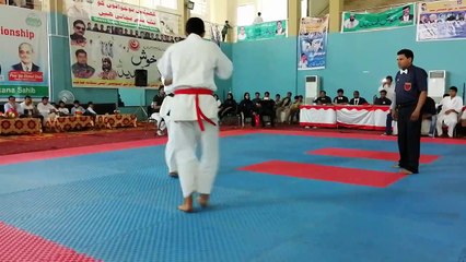 shinkyokishan Karate knockouts