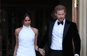 Prince Harry and Duchess Meghan are 'vulnerable'
