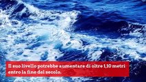 Le notizie della settimana 24102019