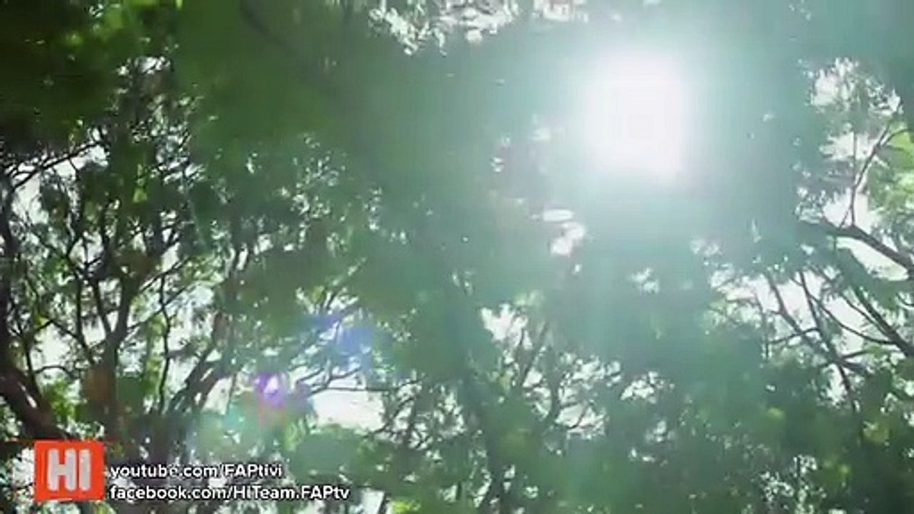 태종대콜걸