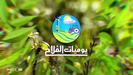 يوميات الفلاح - 24/10/2019