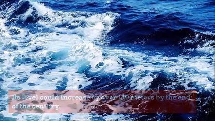 The News of the Week 24/10/2019