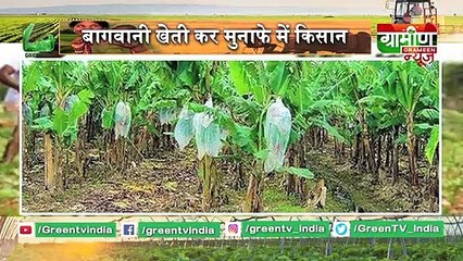 Kisano को तोहफा, Government ने बढ़ाया गेहूं और दालों का MSP (न्यूनतम समर्थन मूल्य) - Kisan Bulletin
