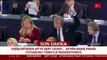 AP'de Türkiye oturumu: Gümrük Birliği askıya alınsın