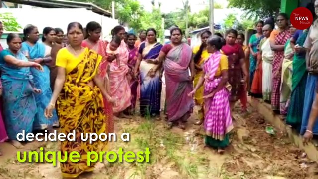 In Thanjavur, residents plant crops to draw attention to bad roads