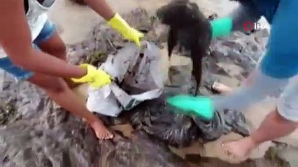 Brezilya'da petrol sızıntısı; halk kendi imkanlarıyla temizlemeye çalıştı, 17 kişi hastaneye kaldırıldı