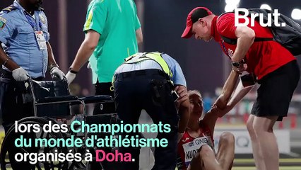 Au Qatar, ils climatisent les rues pour lutter contre la chaleur