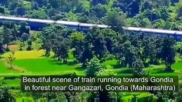 गंगाझरी (M.S.) - गोंदिया - gondia - Tirora - Tumsar - Amgaon - salekasa - Soundad- Hirdamali- Kachewani ( 360 X 640 )