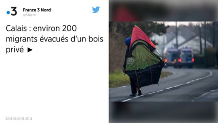 La préfecture de Calais fait évacuer 200 migrants d'un bois privé