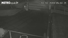 Jovem é filmado a abandonar cão à porta de lar de idosos