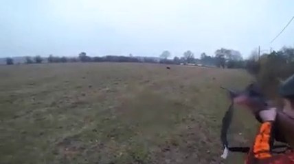 Magnifique doublé sangliers