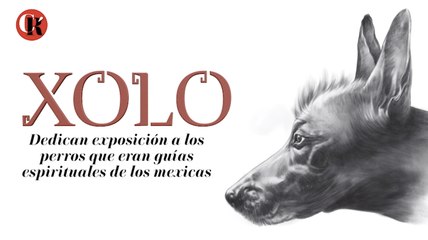 Dedican exposición a los perros que eran guías espirituales de los mexicas