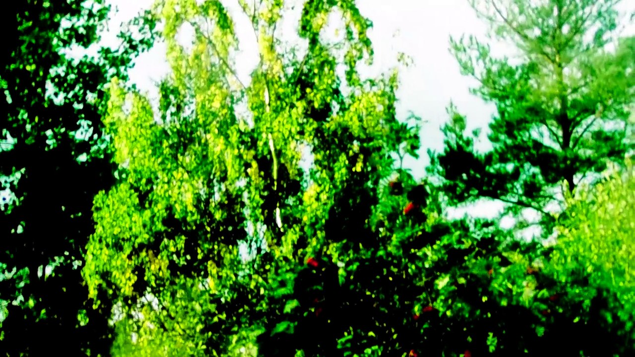 Sep 17 2019 DL5