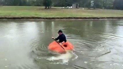 Il fabrique un bateau dans une courge géante de 413 kilos