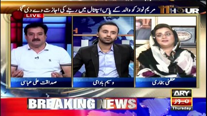 PML-N have done politics on Nawaz Sharif's health: Siddiqat Ali Abbasi