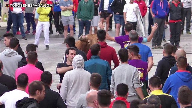 La Vall d´Uixó (Castellón) - Toros en el Santísimo Cristo Carbonaire (Parte 2/3)