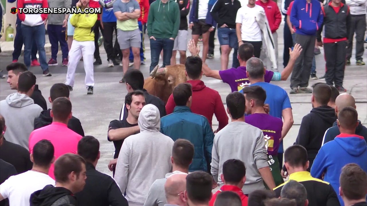 La Vall d´Uixó (Castellón) - Toros en el Santísimo Cristo Carbonaire (Parte 2/3)
