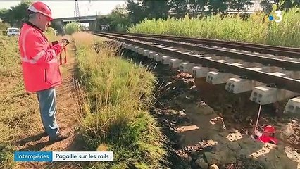 Intempéries : le réseau SNCF fragilisé entre Montpellier et Toulouse