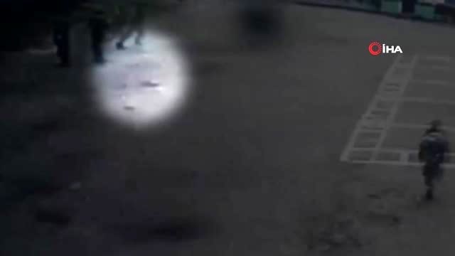 - Uyuşturucu kuryesi kedi gardiyanlara yakalandı