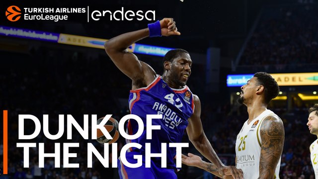 Endesa Dunk of the Night: Bryant Dunston, Anadolu Efes Istanbul