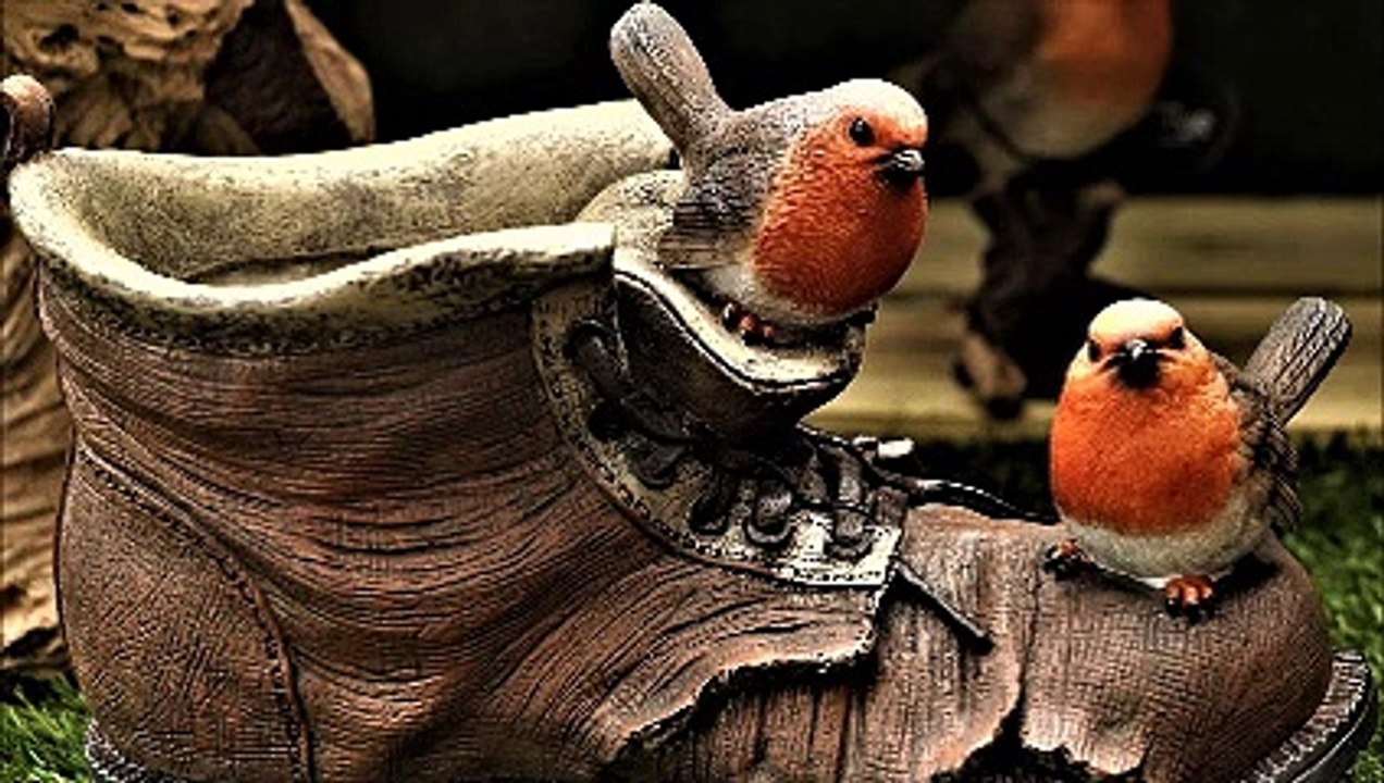 picture test