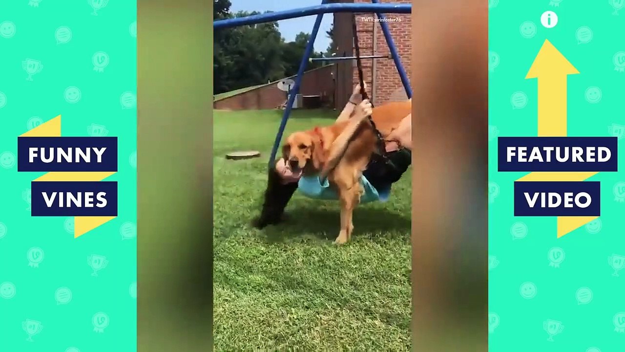 TRY NOT TO LAUGH - FUNNY PETS & ANIMALS! | Funny Videos September 2018