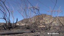 Wicked winds whip up devastating wildfires