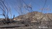 Wicked winds whip up devastating wildfires