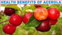 Impressive Health Benefits Of Acerola That You Should Know About