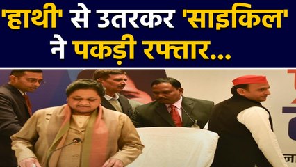 UP by election 2019 में SP को मिली बढ़त,  बैकफुट पर BSP | वनइंडिया हिंदी
