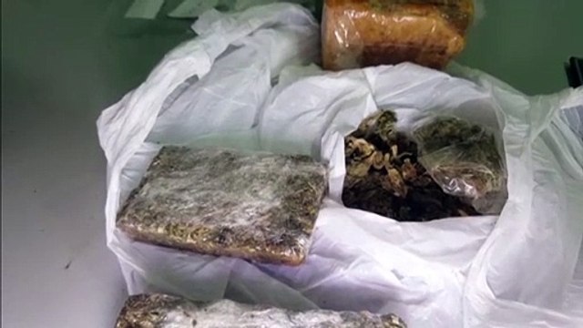 Choque apreende drogas e encaminha casal para delegacia durante abordagem na rodoviária de Cascavel